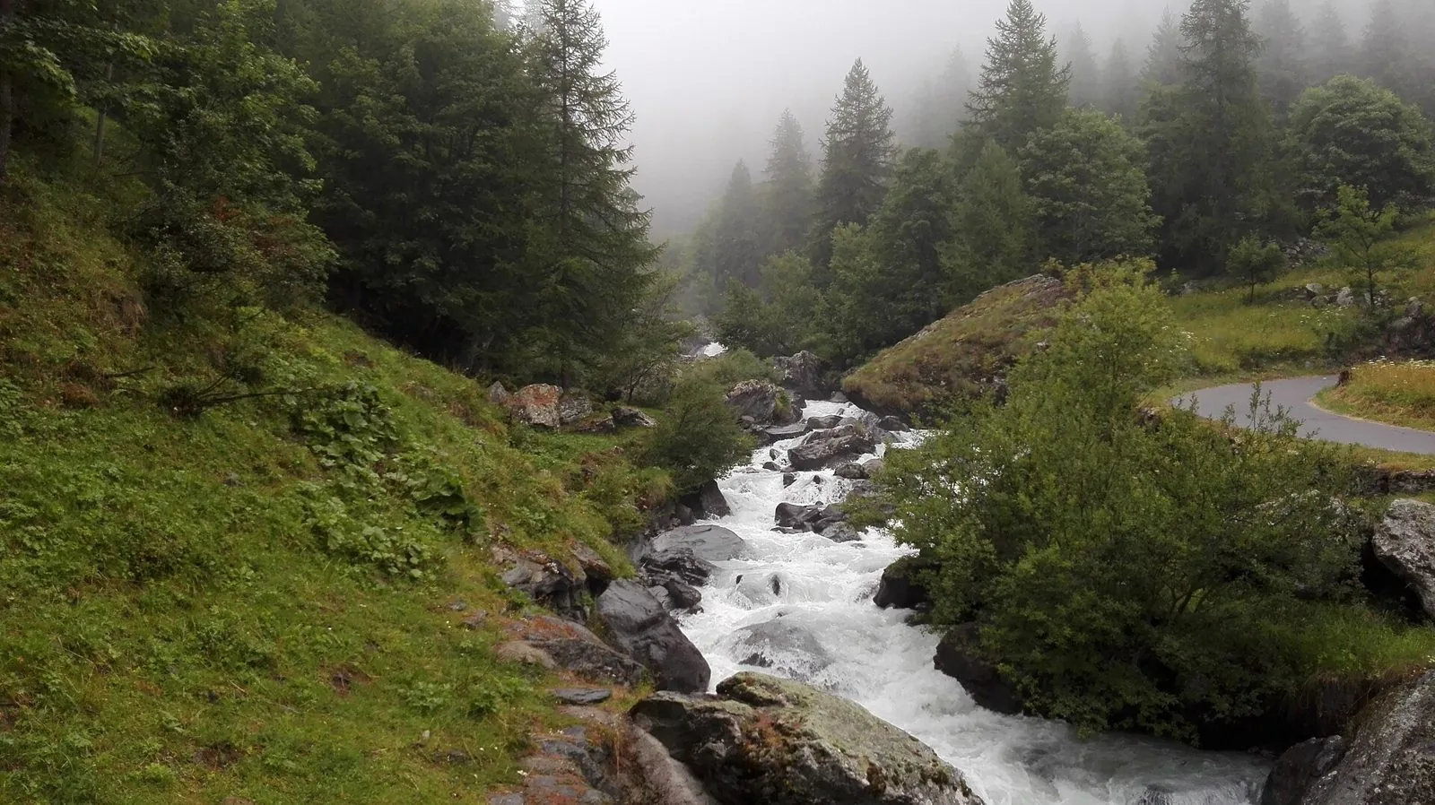 La Stura che scorre tra rocce e boschi di conifere al Pian della Mussa, in Val d'Ala